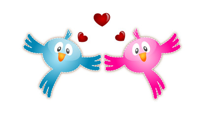 Love birds. Vector
