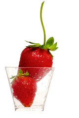 FRESH STRAWBERRIES INSIDE TRASNPARENT VASE