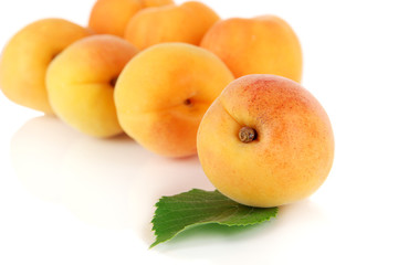 Apricots isolated on white