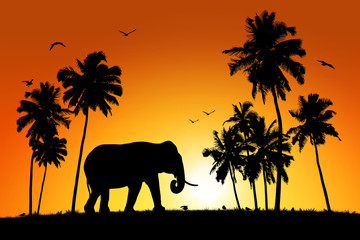 Fototapeta na wymiar lonely elephant on tropical sunset background