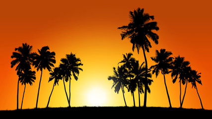 Plakat group of coconut trees on sunset background