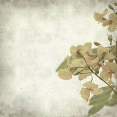 textured old paper background