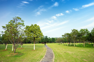 Park