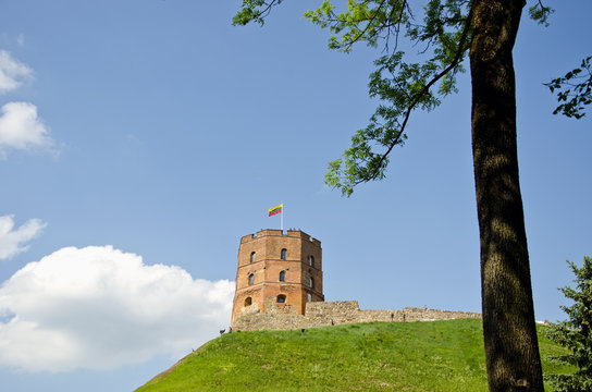 Gediminas Images Browse 5,400 Stock Photos, Vectors, and Video