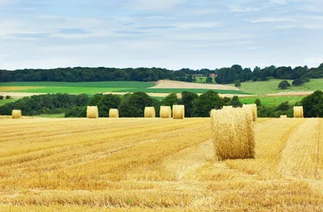 Fotobehang Oranje Gouden hooibalen op het Franse platteland  © Ekaterina Pokrovsky