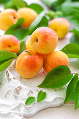 Apricots