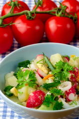 salad of fresh vegetables