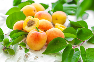 Apricots