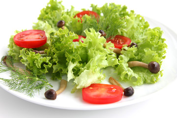 Salat als Vorpeise