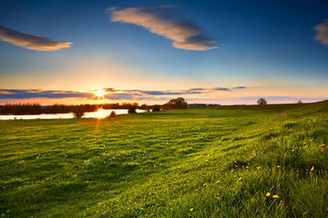 Fototapeta premium sunset over flowering meadows