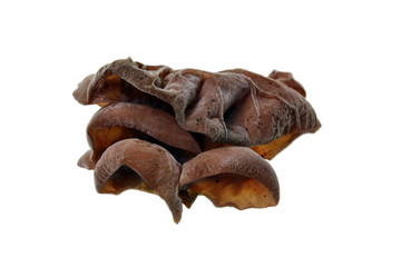 Ears funghi