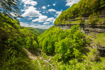 promenade dans le jura