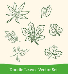 doodle leaves of trees set
