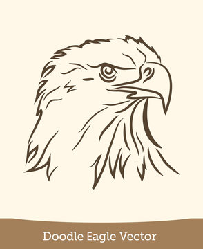 doodle eagle