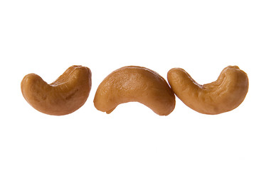 Cashew Nut