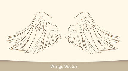 Vector Wings