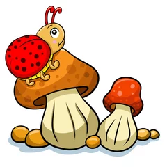 Foto op Canvas paddenstoel en lieveheersbeestje © akarakingdoms