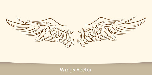 Fototapeta na wymiar Vector Wings