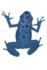Azure Poison Dart Frog Vector Illustration