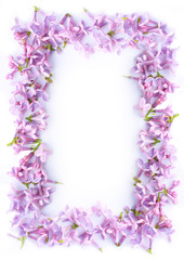 Obraz na płótnie Canvas Pretty romantic lilac frame