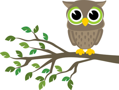 Owl Cartoon Images – Browse 2,248 Stock Photos, Vectors, and Video | Adobe  Stock