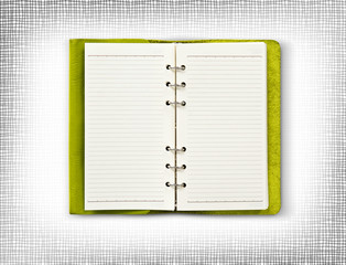 Green leather cover of diary