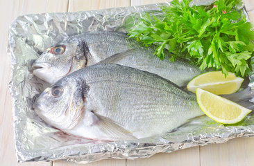 dorado fish