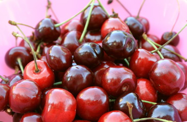 Ripe cherries on a pink background closeup
