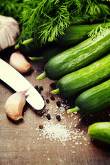 preparing preserves of pickled cucumbers