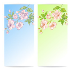 Two sakura banners.