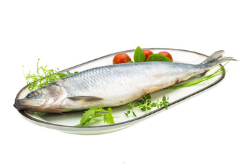 Marinated herring with herbs