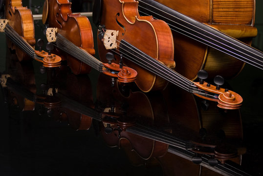 Two Violins, Viola and Cello