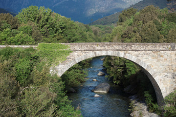 Fototapeta na wymiar Corse,pont génois sur le Tavignano