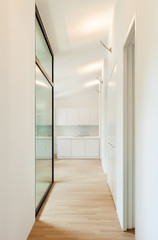 interior new house, view kitchen from corridor