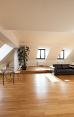 Interior, beautiful loft, hardwood floor, view living room