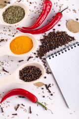 notebook, red chilli pepper, spices in spoons
