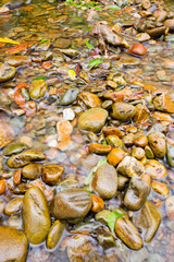 cobblestone in the river