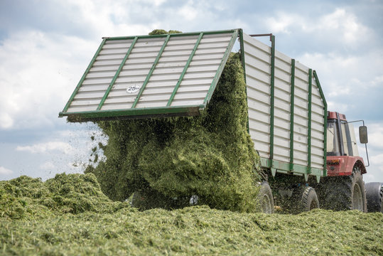 Entleerung eines Silagetransporters