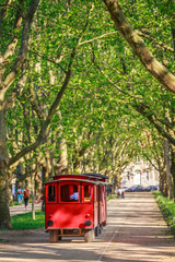 Train in a tunnel of trees © marcinsl1987