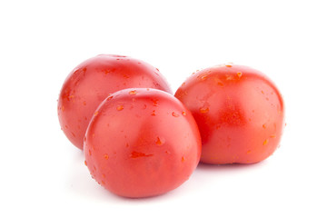 isolated tomato