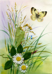 Wild flowers and a butterfly - 53129107