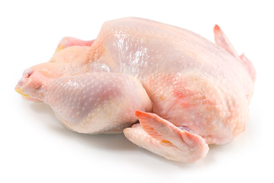 fresh raw chicken on a white background