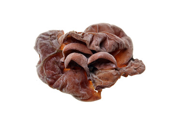 Ears mushrooms