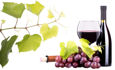 Ripe grapes, wine glass and bottle of wine