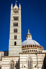 Obraz premium Cathedral of Siena in the summer on a blue sky background