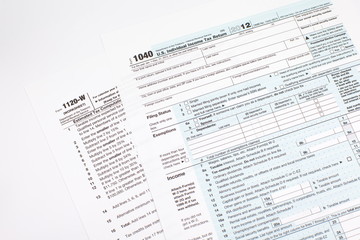 Obraz premium Income Tax Document