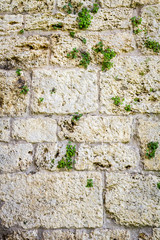 Old stone wall built of white stone