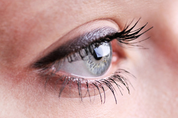 Obraz premium eye macro