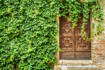 Ancient building with wooden door and ivy