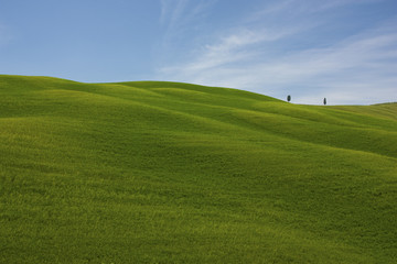 Fototapeta premium Tuscany landscape